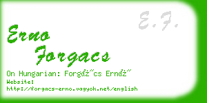 erno forgacs business card